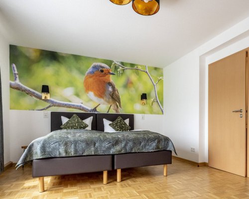 Komfort_Doppelzimmer_Rotkehlchen