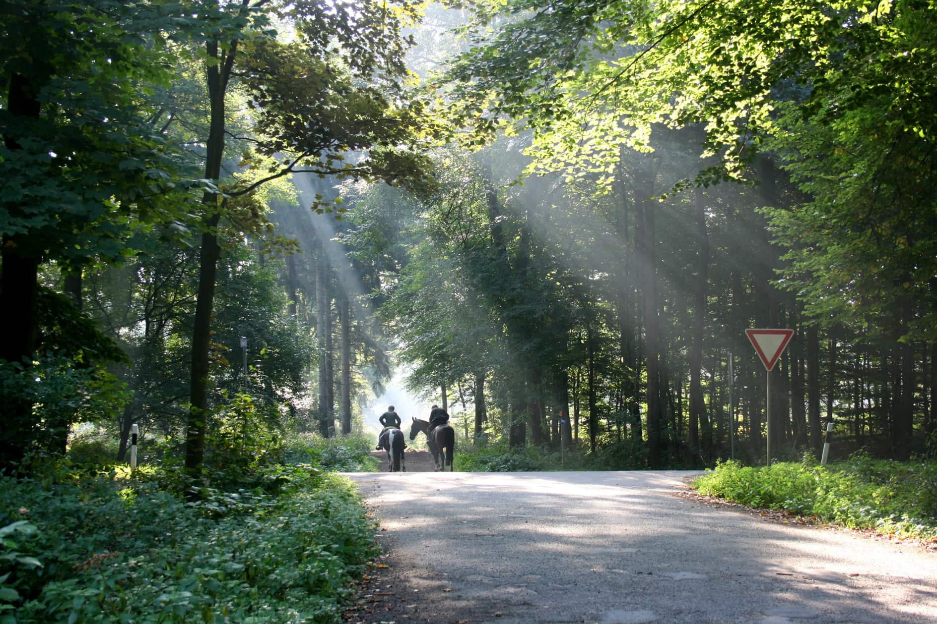 uedem-uedemer_hochwald